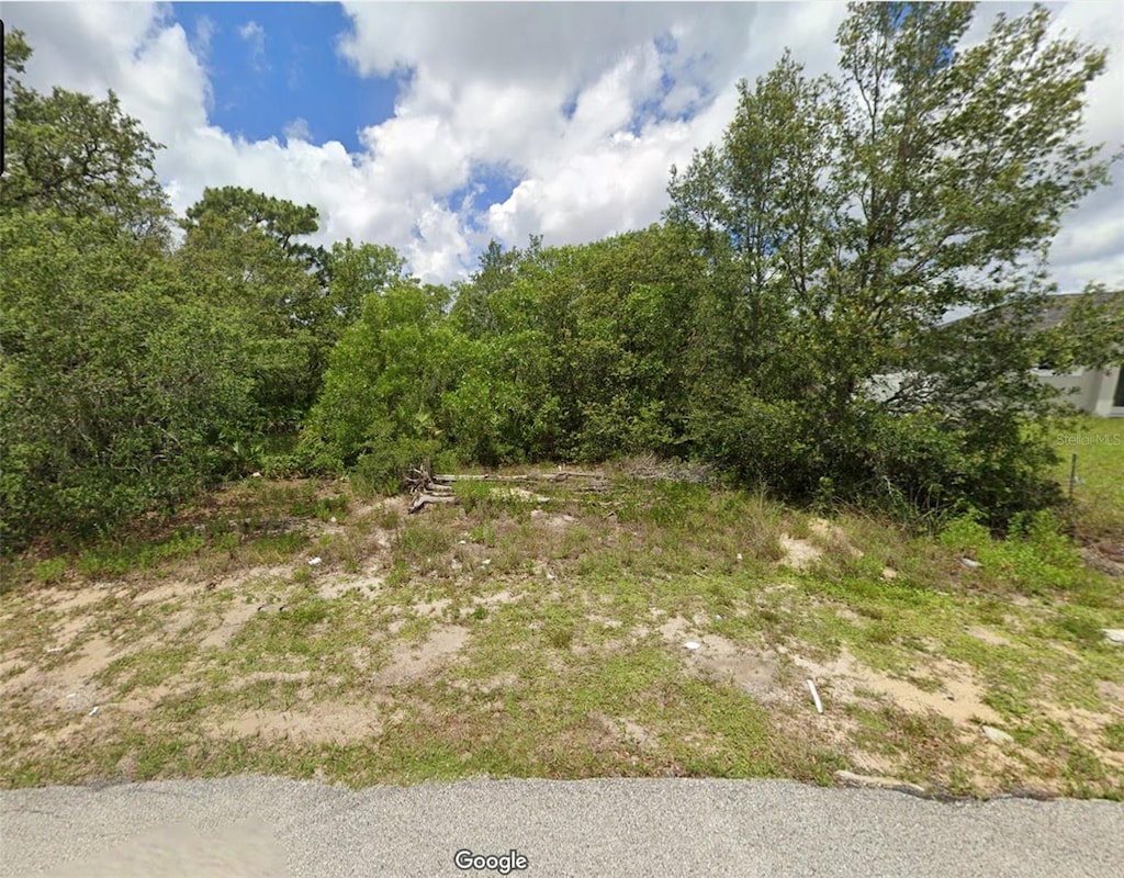 Flatfish Ct, Kissimmee, FL 34759 - photo 1