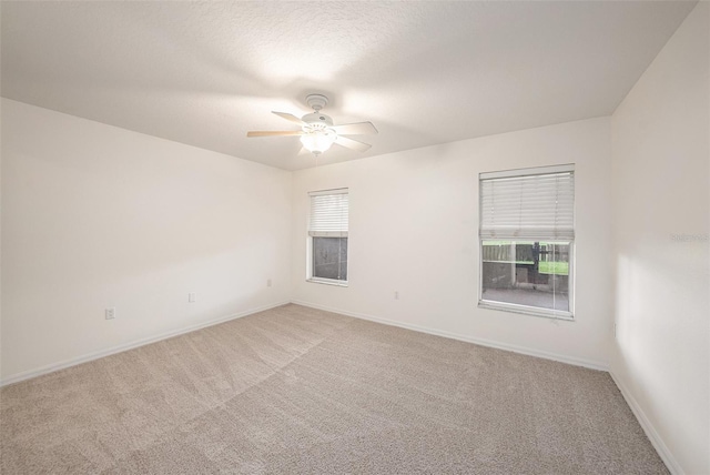 11814 Mango Cross Ct, Seffner, FL 33584 - photo 14
