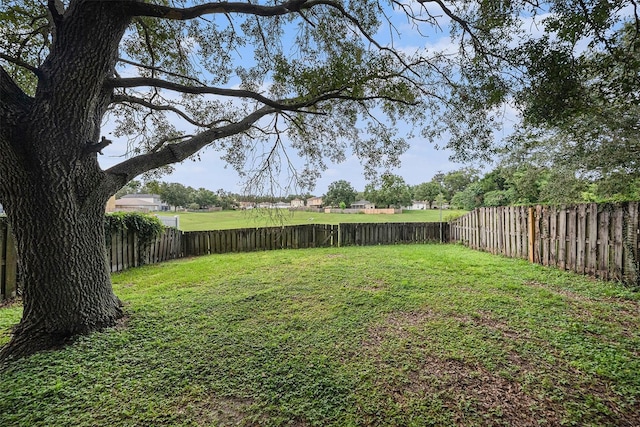 11814 Mango Cross Ct, Seffner, FL 33584 - photo 23