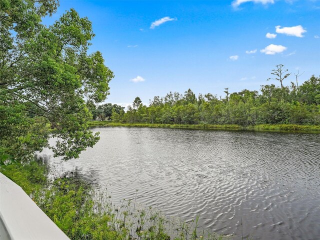 2013 Ipsden Dr, Orlando, FL 32837 - photo 45