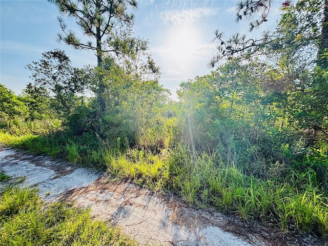 0 Shakedown St, Saint Cloud, FL 34773 - photo 1