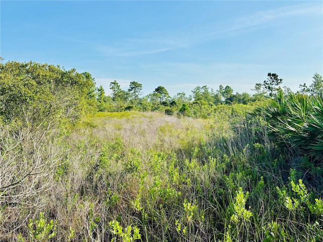 0 Shakedown St, Saint Cloud, FL 34773 - photo 2