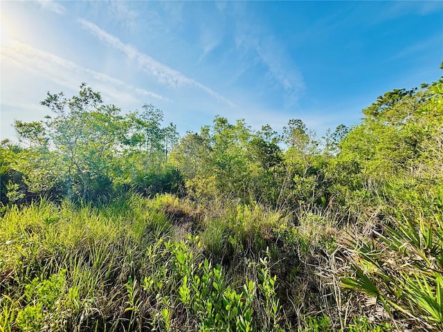 0 Shakedown St, Saint Cloud, FL 34773 - photo 3