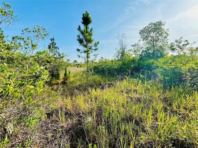 0 Shakedown St, Saint Cloud, FL 34773 - photo 4