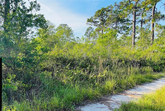 0 Shakedown St, Saint Cloud, FL 34773 - photo 6
