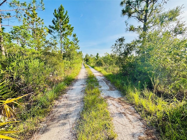 0 Shakedown St, Saint Cloud, FL 34773 - photo 7