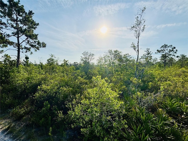 0 Shakedown St, Saint Cloud, FL 34773 - photo 8