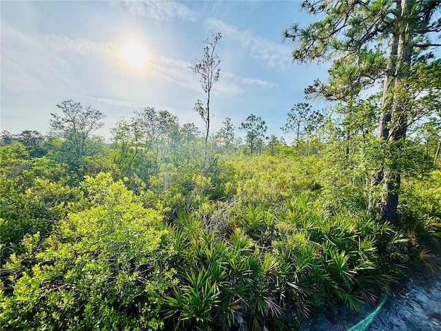 0 Shakedown St, Saint Cloud, FL 34773 - photo 9