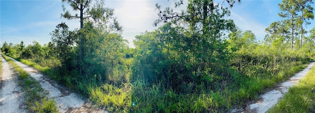 0 Shakedown St, Saint Cloud, FL 34773 - photo 13