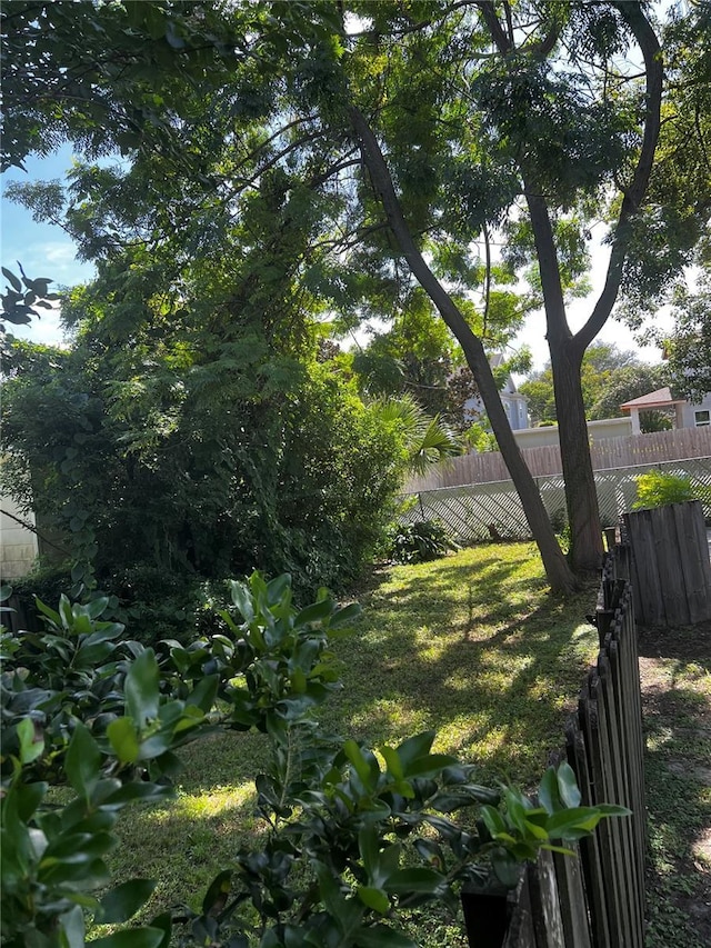 316 W Princeton St, Orlando, FL 32804 - photo 6