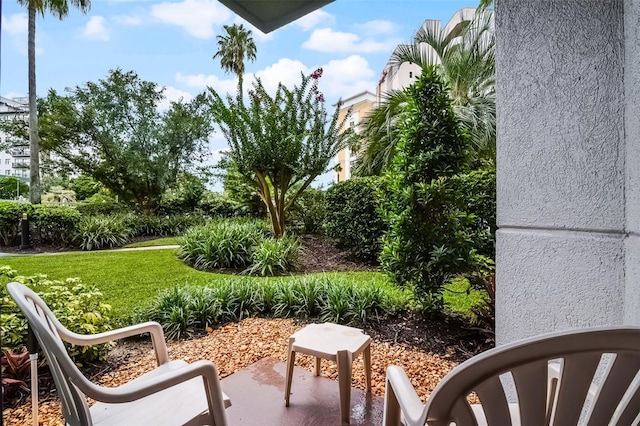 6165 Carrier Dr Unit 1109, Orlando, FL 32819 - photo 15