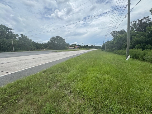 4026 N Orange Blossom Trl, Mount Dora, FL 32757 - photo 3