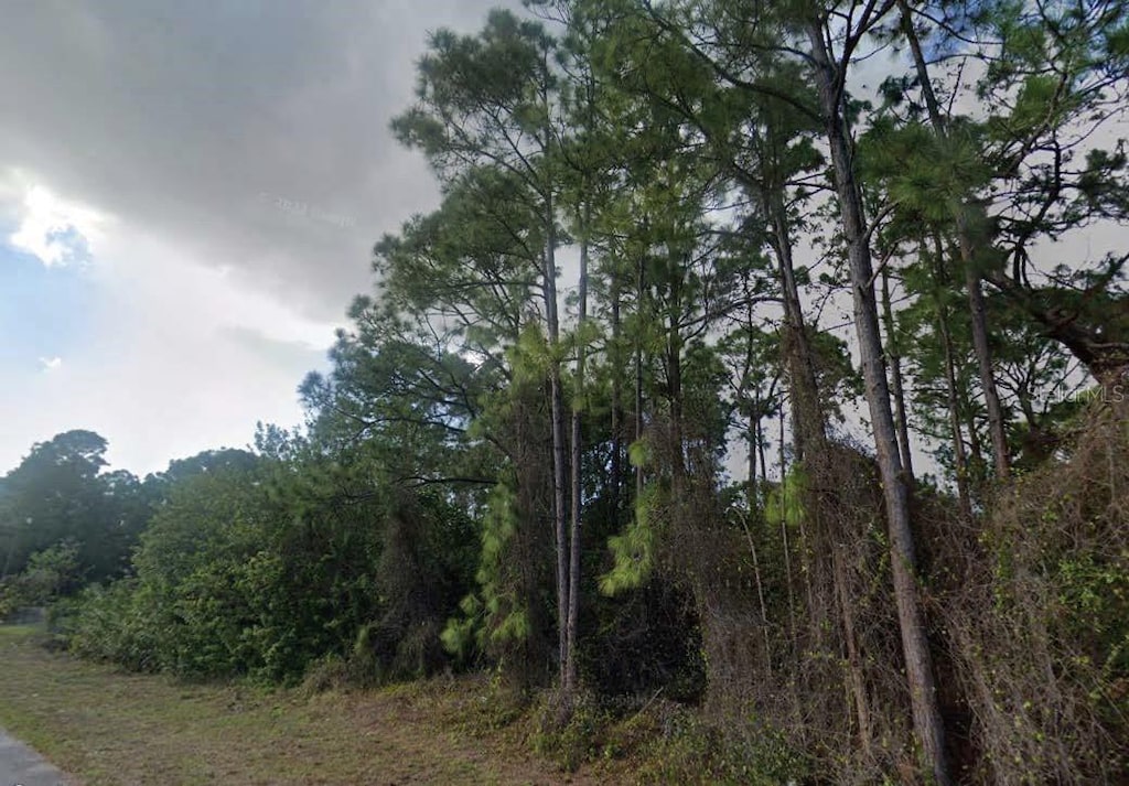 2808 2nd St SW, Lehigh Acres, FL 33976 - photo 1