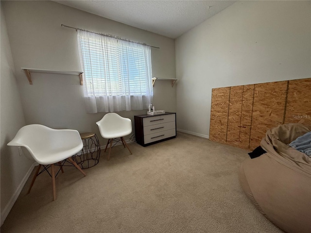 2524 Seven Oaks Dr, Saint Cloud, FL 34772 - photo 29