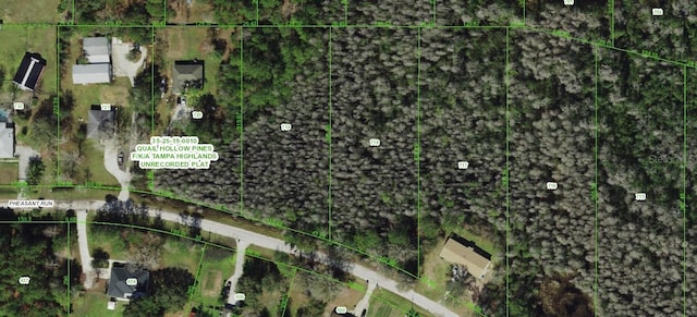 000 Pheasent Run, Wesley Chapel, FL 33544 - photo 1