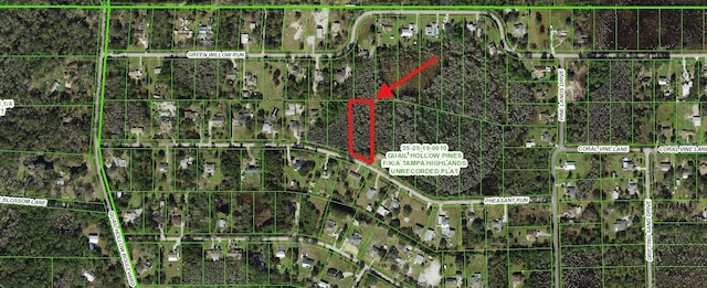 000 Pheasent Run, Wesley Chapel, FL 33544 - photo 2