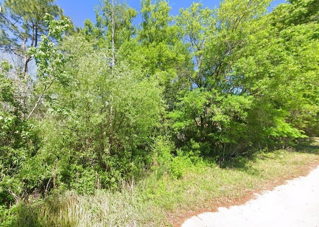 000 Pheasent Run, Wesley Chapel, FL 33544 - photo 3