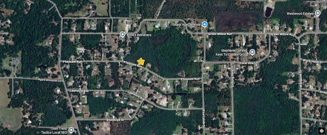 000 Pheasent Run, Wesley Chapel, FL 33544 - photo 4