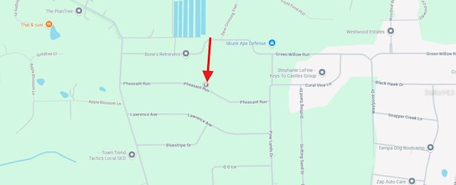 000 Pheasent Run, Wesley Chapel, FL 33544 - photo 5