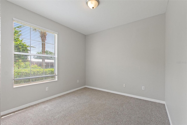 1351 Venezia Ct Unit 101, Davenport, FL 33896 - photo 33