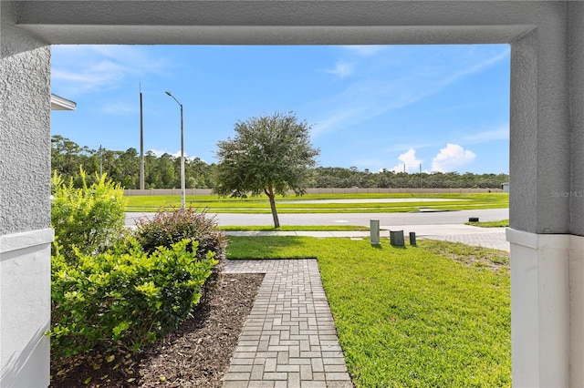 3517 Davenport Creek Ct, Kissimmee, FL 34746 - photo 4