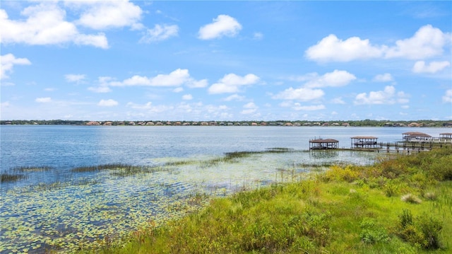 8761 The Esplanade Unit 3, Orlando, FL 32836 - photo 29