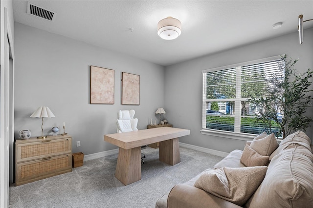 13351 Bovet Ave, Orlando, FL 32827 - photo 21