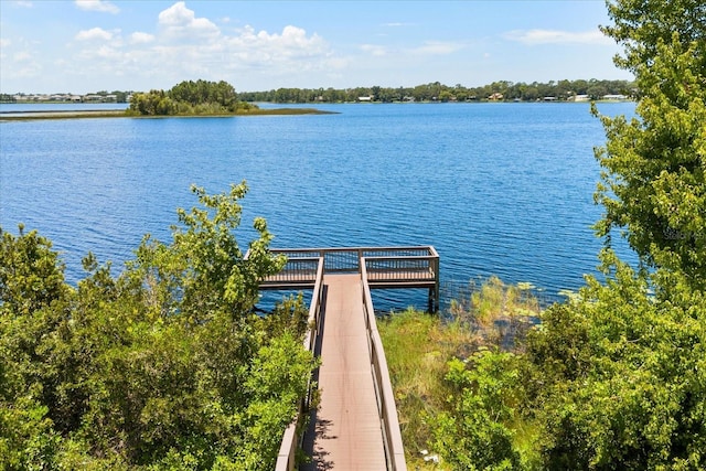 16125 Hampton Crossing Dr, Winter Garden, FL 34787 - photo 52