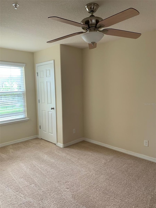 8959 Hildreth Ave, Orlando, FL 32832 - photo 8
