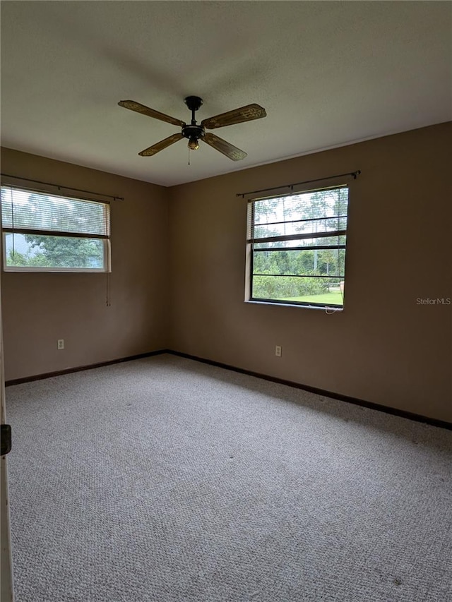3470 Bareback Trl, Ormond Beach, FL 32174 - photo 12