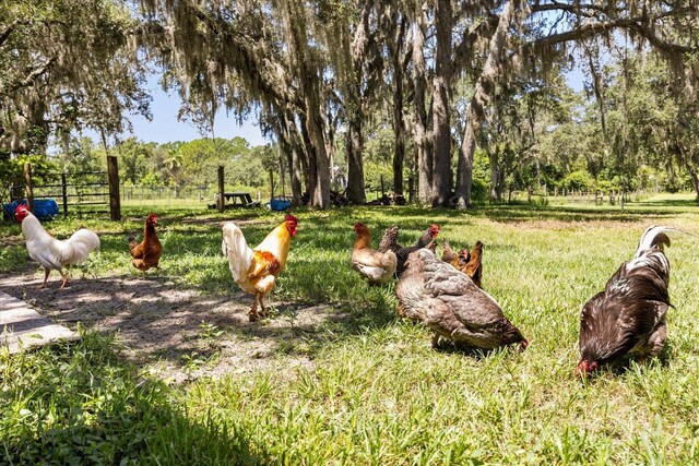 22519 Robbins Rd, Astatula, FL 34705 - photo 36
