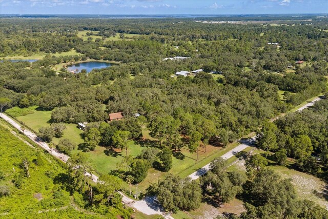 22519 Robbins Rd, Astatula, FL 34705 - photo 42