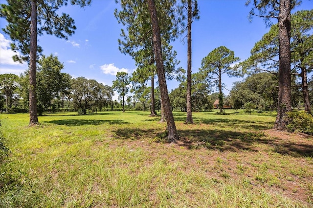 22519 Robbins Rd, Astatula, FL 34705 - photo 43