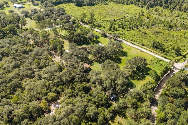 22519 Robbins Rd, Astatula, FL 34705 - photo 45