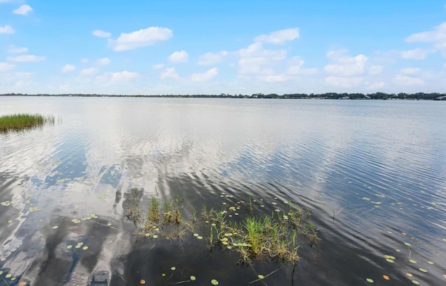 1420 Belle Vista Dr, Belle Isle, FL 32809 - photo 41