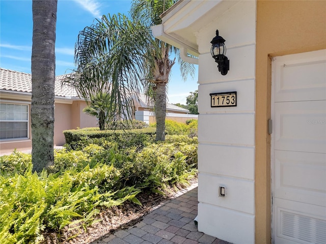 11753 Fan Tail Ln, Orlando, FL 32827 - photo 4