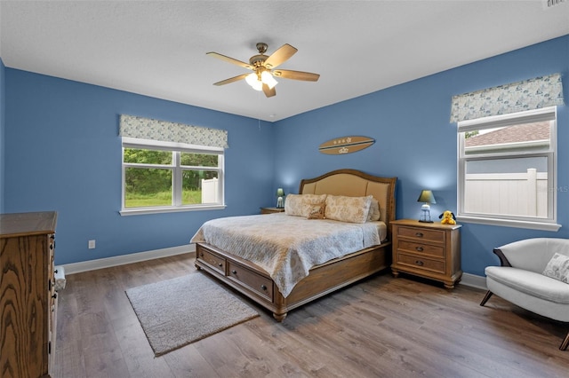 2327 Palmetum Loop, Apopka, FL 32712 - photo 14
