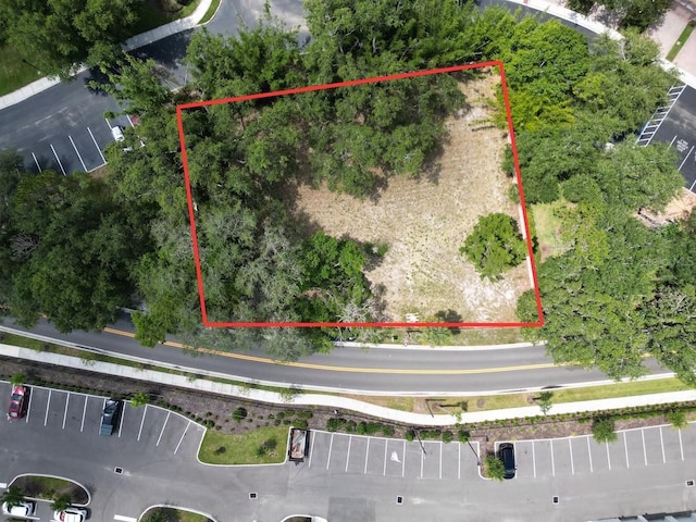1320 S Goodman Rd, Champions Gate, FL 33896 - photo 6