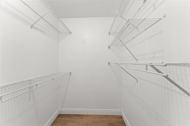 2398 Dominica Run, Winter Park, FL 32792 - photo 24