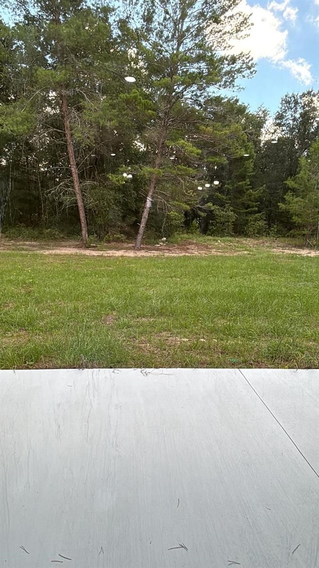 16855 SW 18th Ave Unit 16855, Ocala, FL 34473 - photo 13