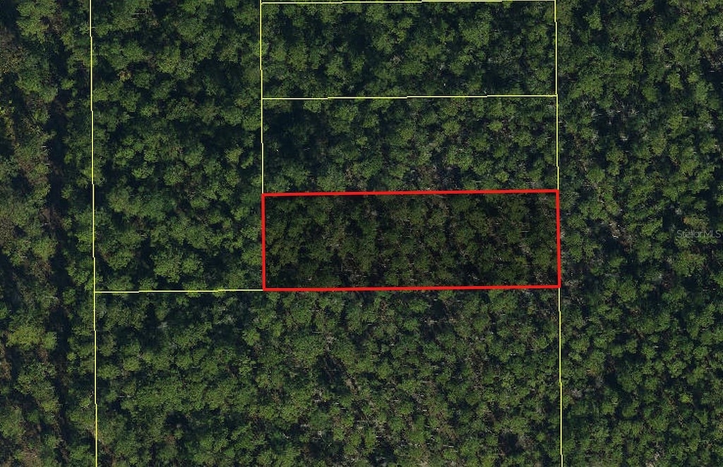 Holopaw Groves Rd, Saint Cloud, FL 34773 - photo 1