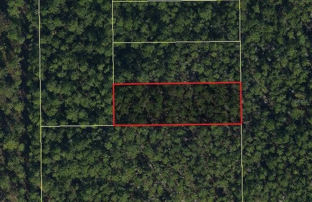 Holopaw Groves Rd, Saint Cloud, FL 34773 - photo 1