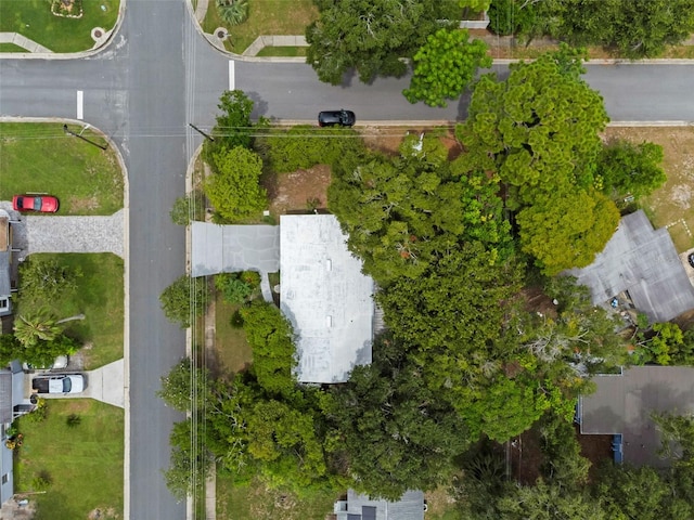 421 Jasmine Rd, Casselberry, FL 32707 - photo 31