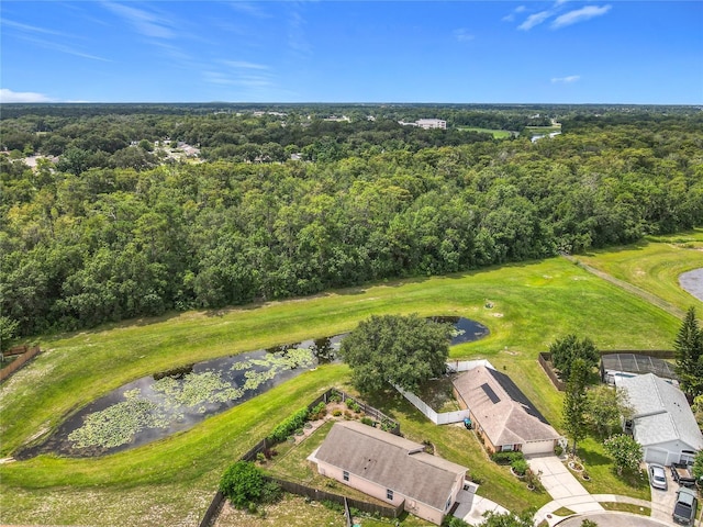 2409 Olive Branch Way, Orlando, FL 32817 - photo 25