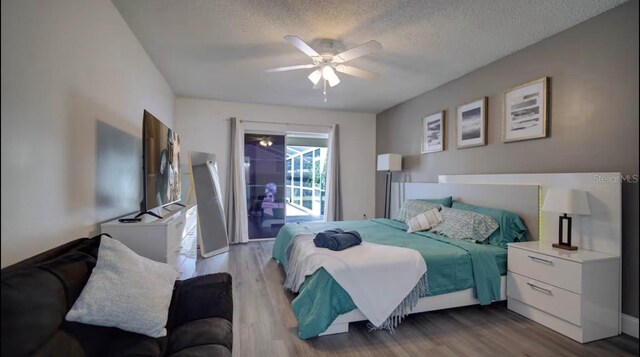 8700 Eton Ct, Kissimmee, FL 34747 - photo 12