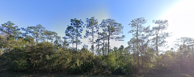 20106 E Colonial Dr, Christmas, FL 32709 - photo 1