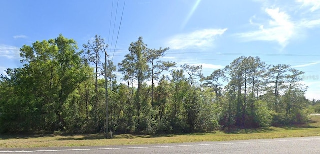 20106 E Colonial Dr, Christmas, FL 32709 - photo 3