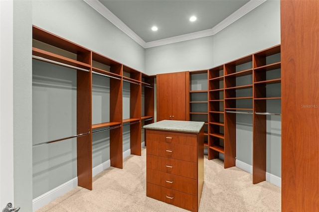 4819 Alexandra Garden Ct, Windermere, FL 34786 - photo 26
