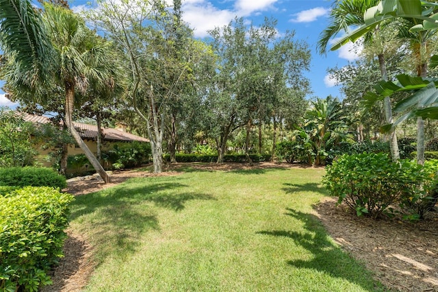 4819 Alexandra Garden Ct, Windermere, FL 34786 - photo 41