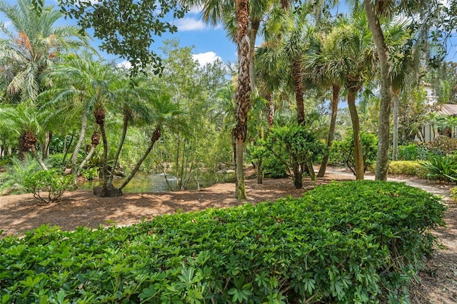 4819 Alexandra Garden Ct, Windermere, FL 34786 - photo 43